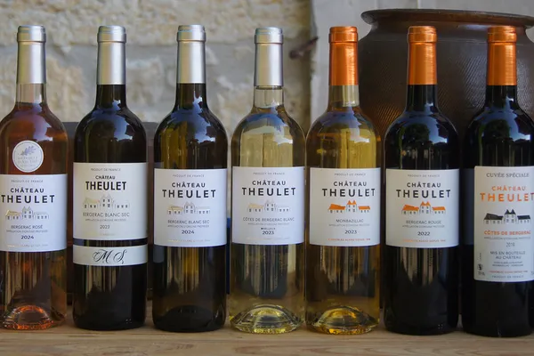 Visite et dégustation de 7 vins - 14h | Vignobles Alard