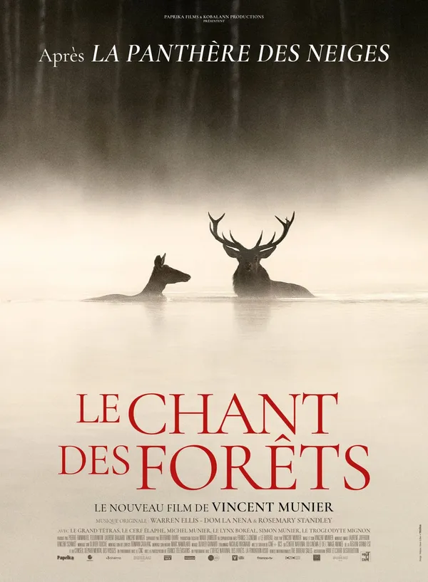 CINÉMA "LE CHANT DES FORÊTS"