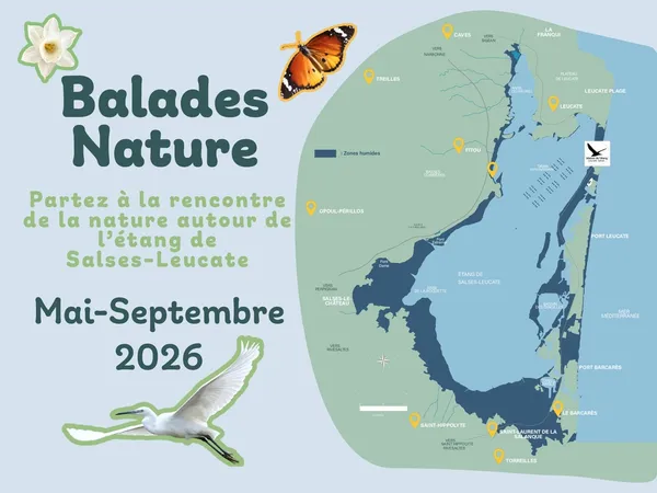 BALADE NATURE, LES OISEAUX DES ZONES HUMIDES