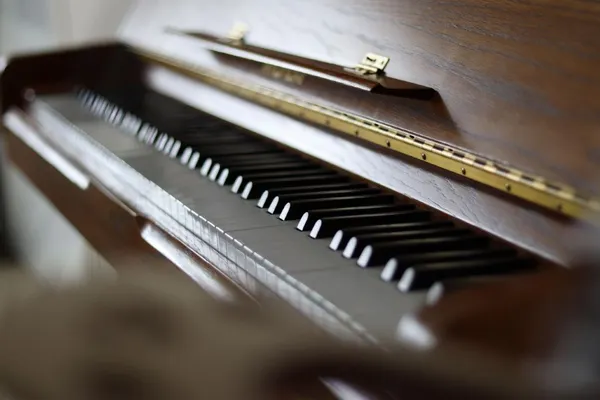 MUSICA VINGRAU