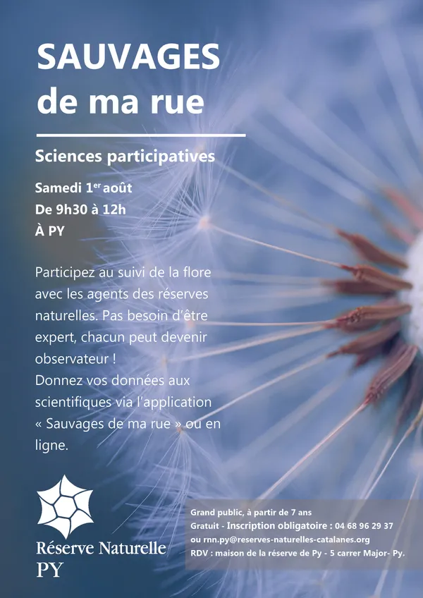 SCIENCE PARTICIPATIVE : SAUVAGES DE MA RUE
