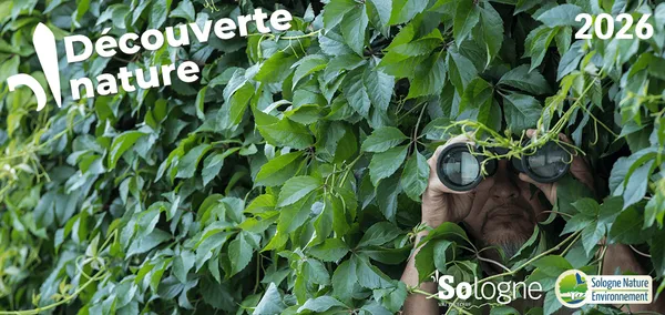 Découvertes Sologne Nature - Enquête d'affût à Bracieux