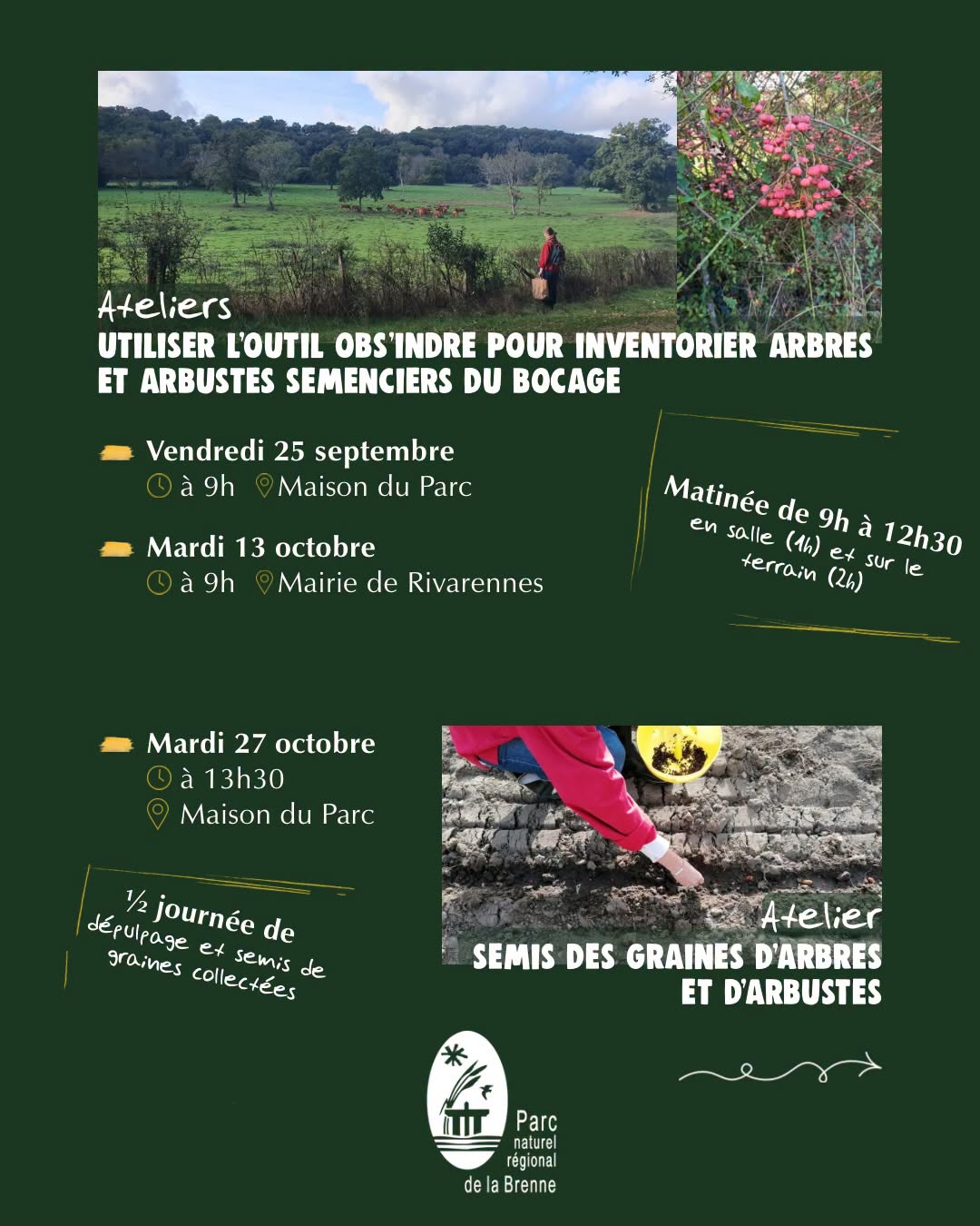 Apprendre à utiliser l’outil Obs’Indre pour inventorier des arbres et arbustes semenciers du bocage, récolte de leurs graines