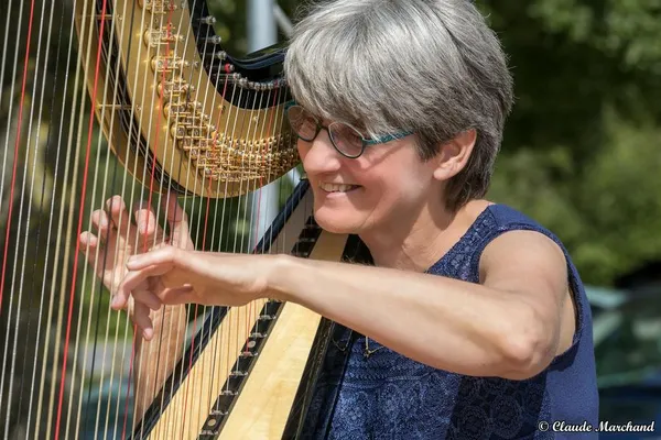 Harpe vagabonde