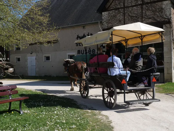 Balade en calèche
