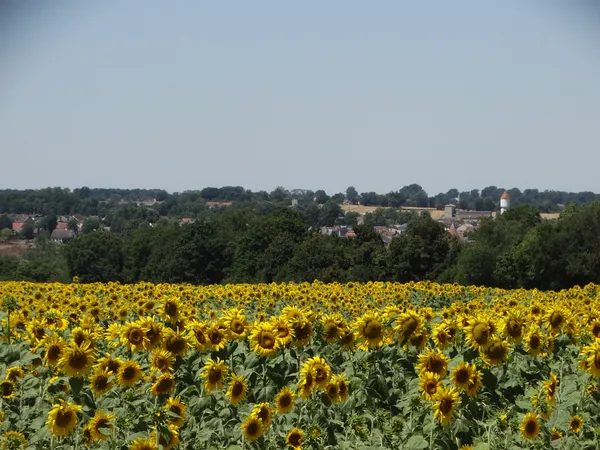 Randonnée gourmande à Culan
