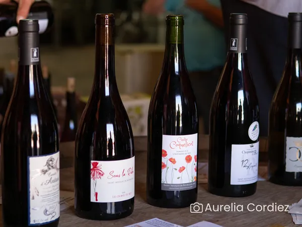Visite-dégustation : Visite du domaine aux origines de l'appellation