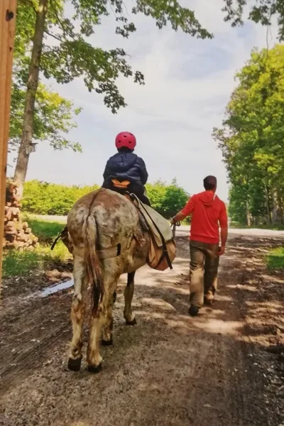 Randonnée en autonomie avec les ânes