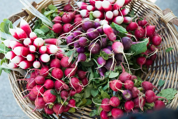 Marché à Savigny-sur-Braye