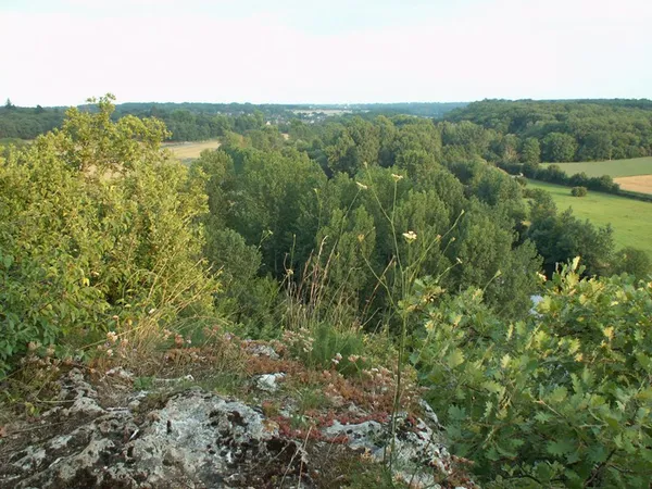 A la recherche du trésor d'Halloween au Bois des Roches