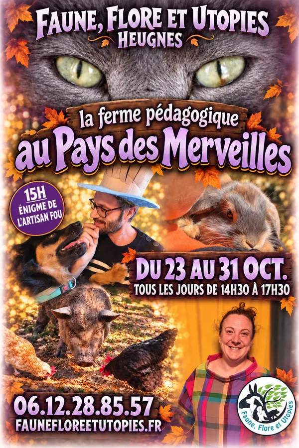 Halloween aux pays des merveilles !