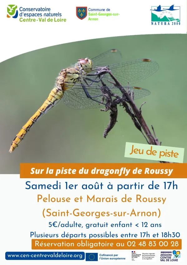 Sur la piste du dragonfly de Roussy