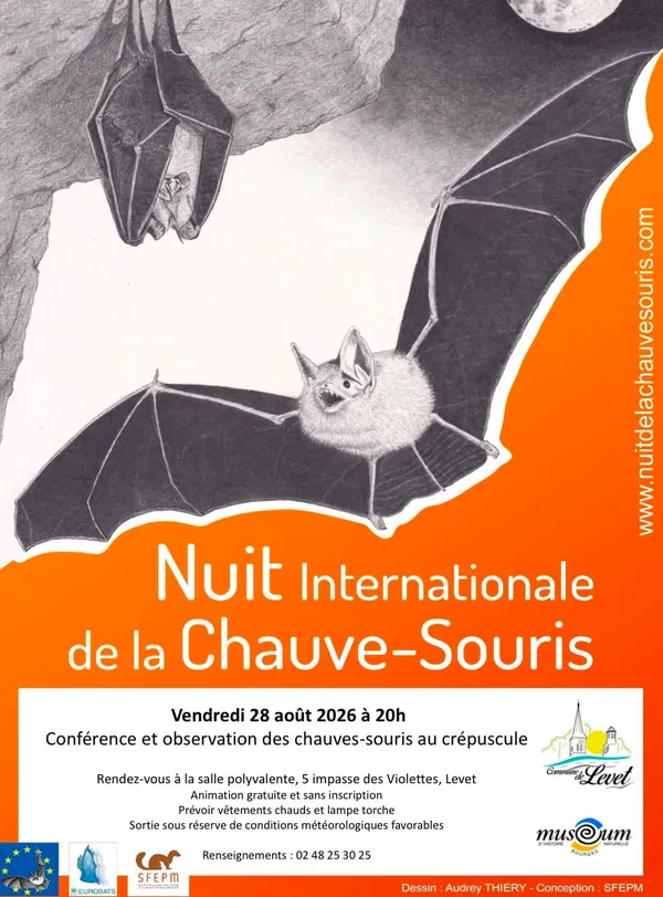 Conférence et observation des chauves-souris au crépuscule