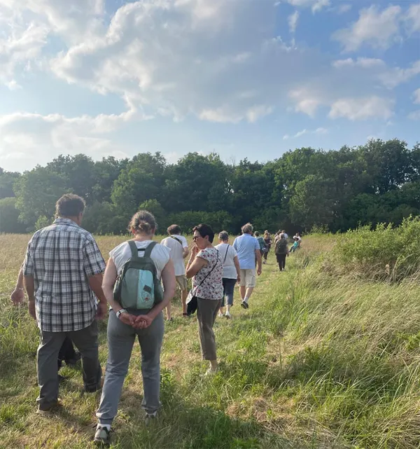 Cherchons la p'tite bête dans le Marais de Chavannes