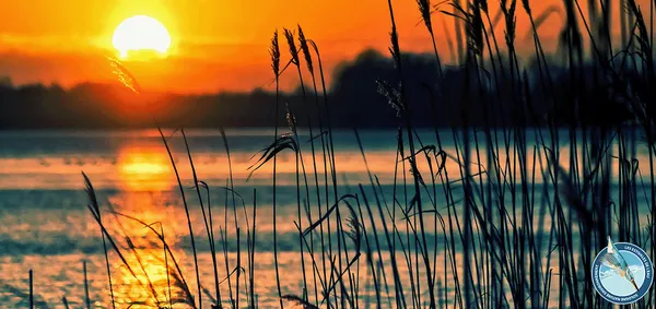 Mardi soir au bord de l'eau