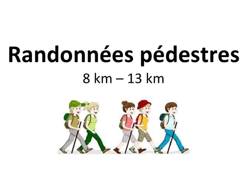 Randonnée pédestre
