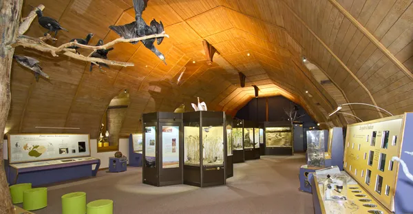 Exposition au muséum d'histoire naturelle de Blois