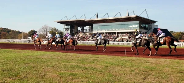 Visite secrète du Pôle du Cheval et de l'Âne et de l'hippodrome