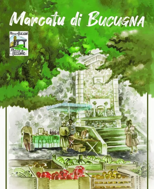 MARCHE DES SAVEURS DE BOCOGNANO-LES JEUDIS MATINS DE L'ETE