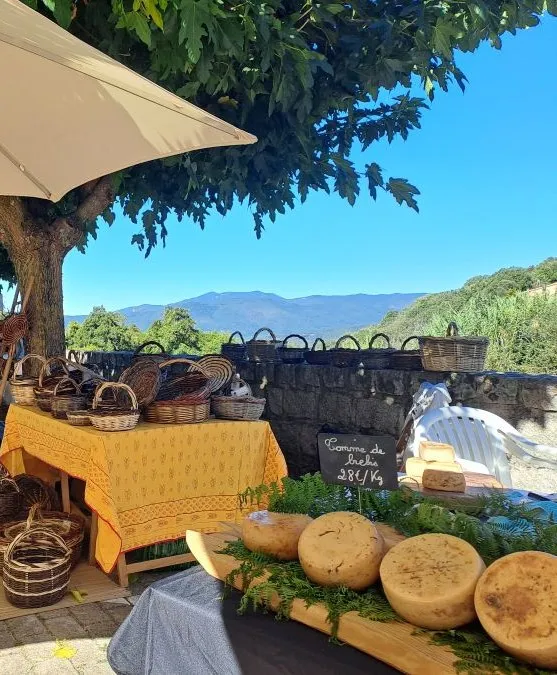 FESTA DI I SENSI