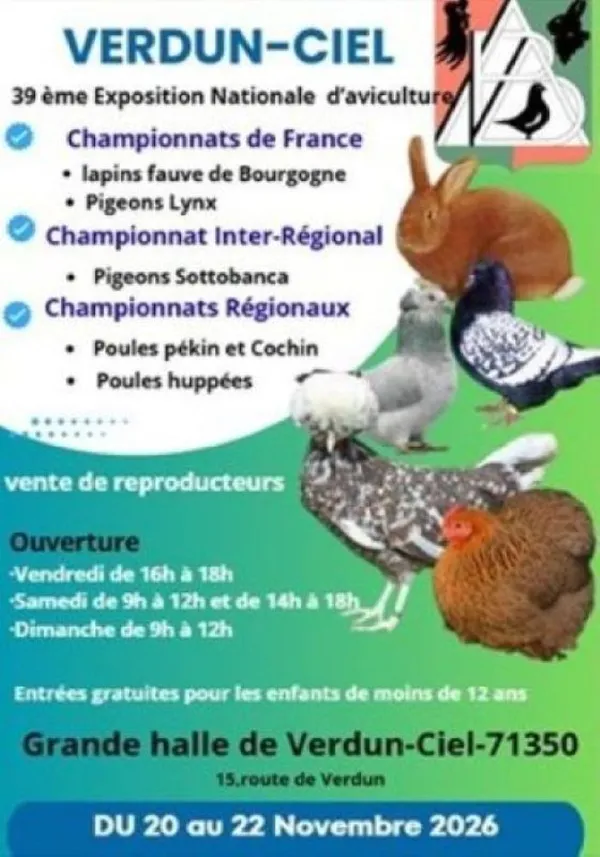 Média additionnel 1