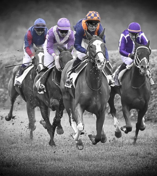 Courses hippiques - Tout galop