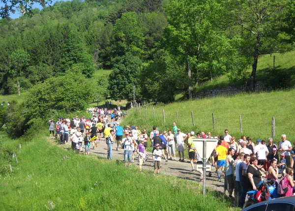 Montée Internationale du Poupet