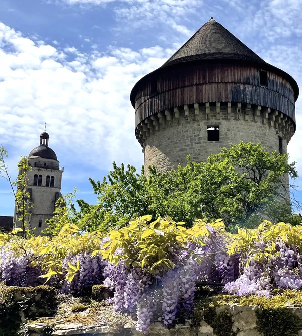 Excursion à Poligny