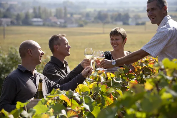 Balade entre vignes et vins