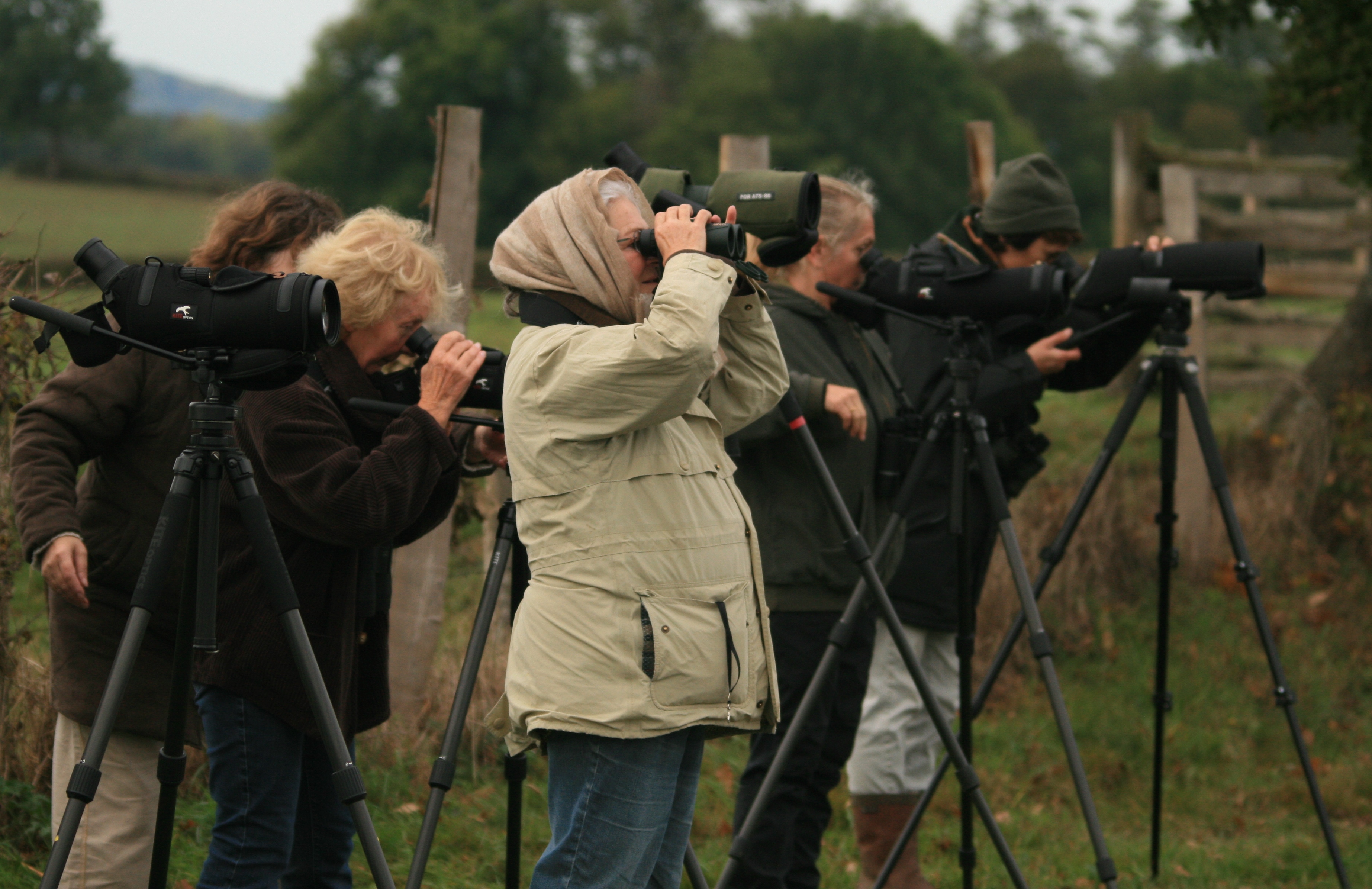 Observer la migration des oiseaux en val d’Arroux (Fête de la Science 2026)