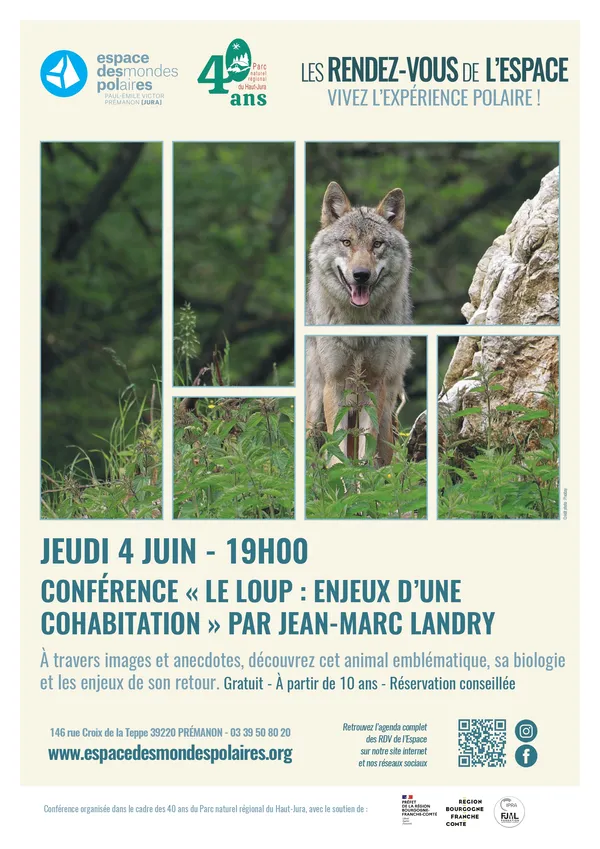 Le loup : enjeux d’une cohabitation
