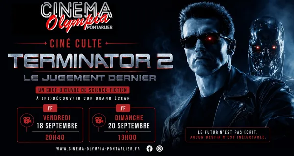 Terminator 2 - les 35 ans du film Culte