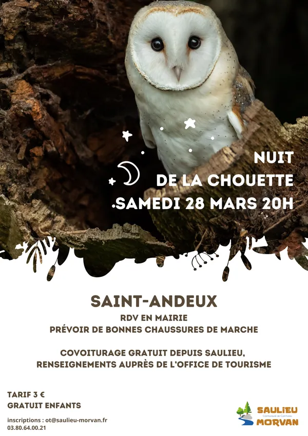 Sortie rapaces nocturnes