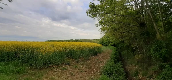 Marche du 1er Mai
