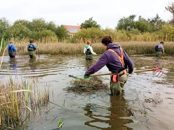 Chantier nature