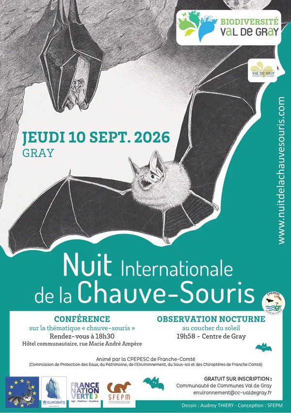 Nuit internationale de la chauve souris: Conférence et observation nocturne