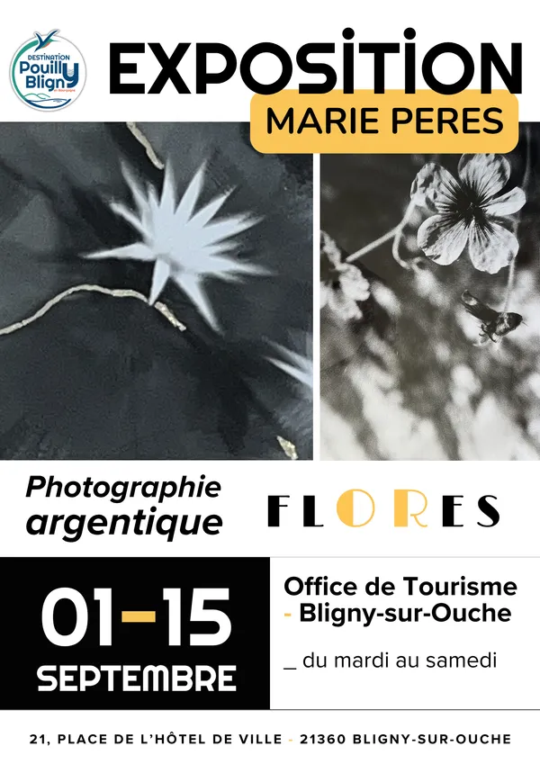 Exposition 'FlORes ' , Photographie argentique : une exploration sensible du vivant; Marie Peres- Bligny sur Ouche