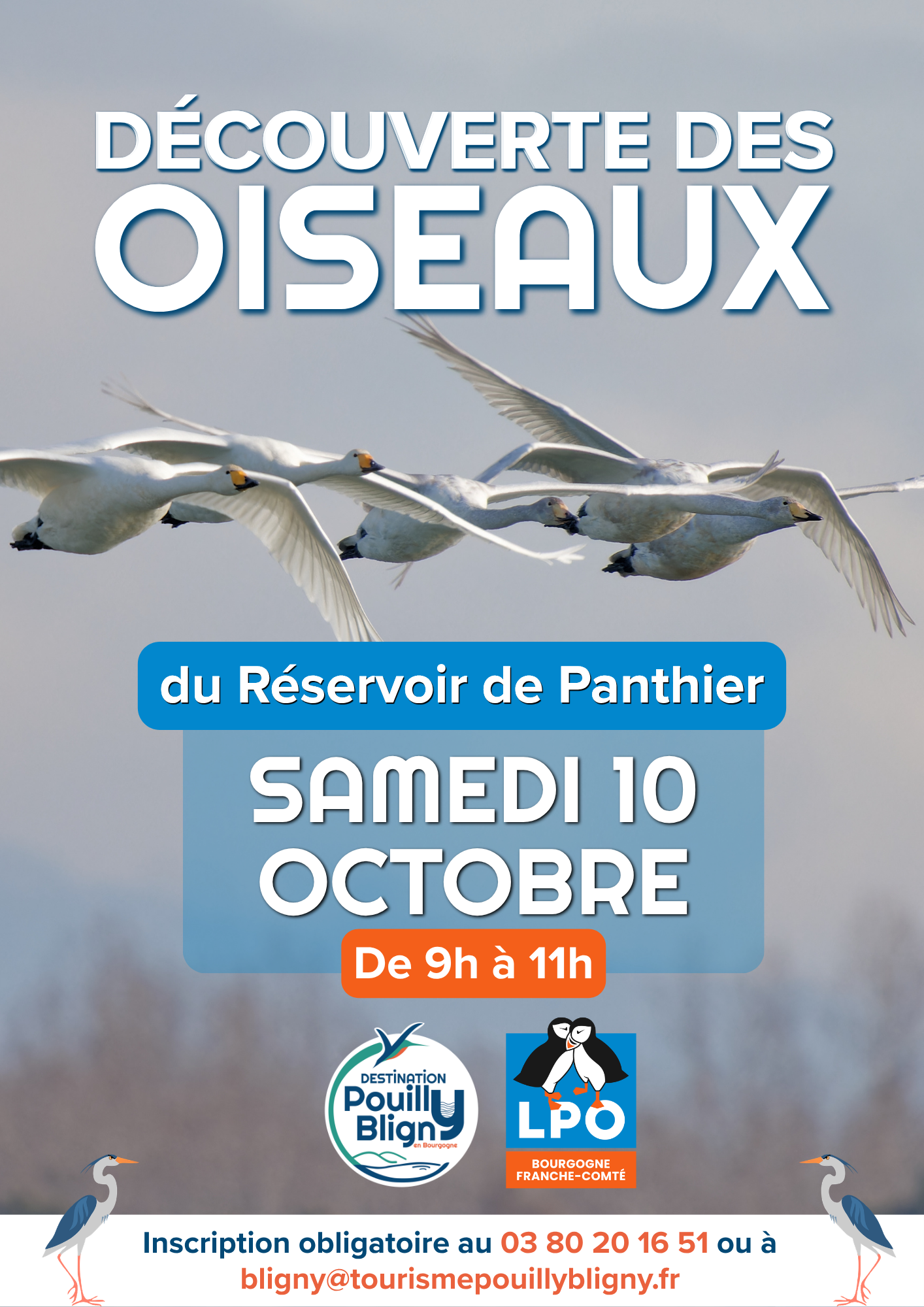 Eurobirdwatch : Découverte des oiseaux au réservoir de Panthier