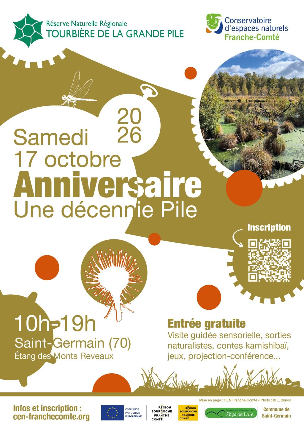 Anniversaire Une décennie Pile