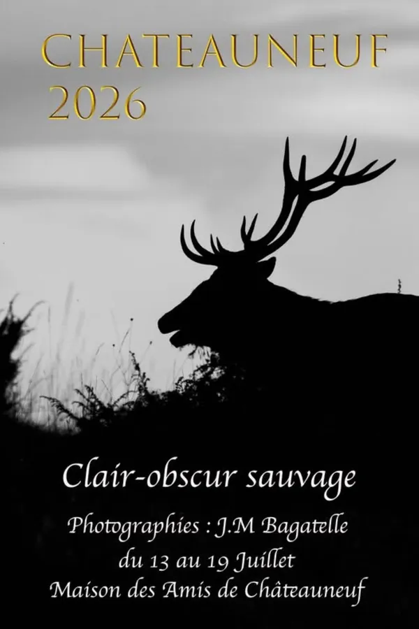 Exposition Clair-Obscur sauvage- Châteauneuf