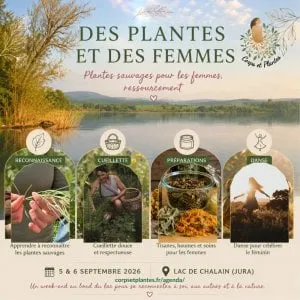 Des plantes et des femmes