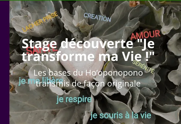 Stage "Je transforme ma vie""