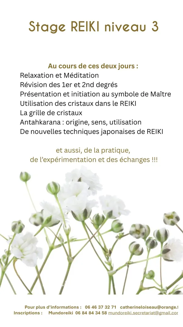 Média additionnel 1