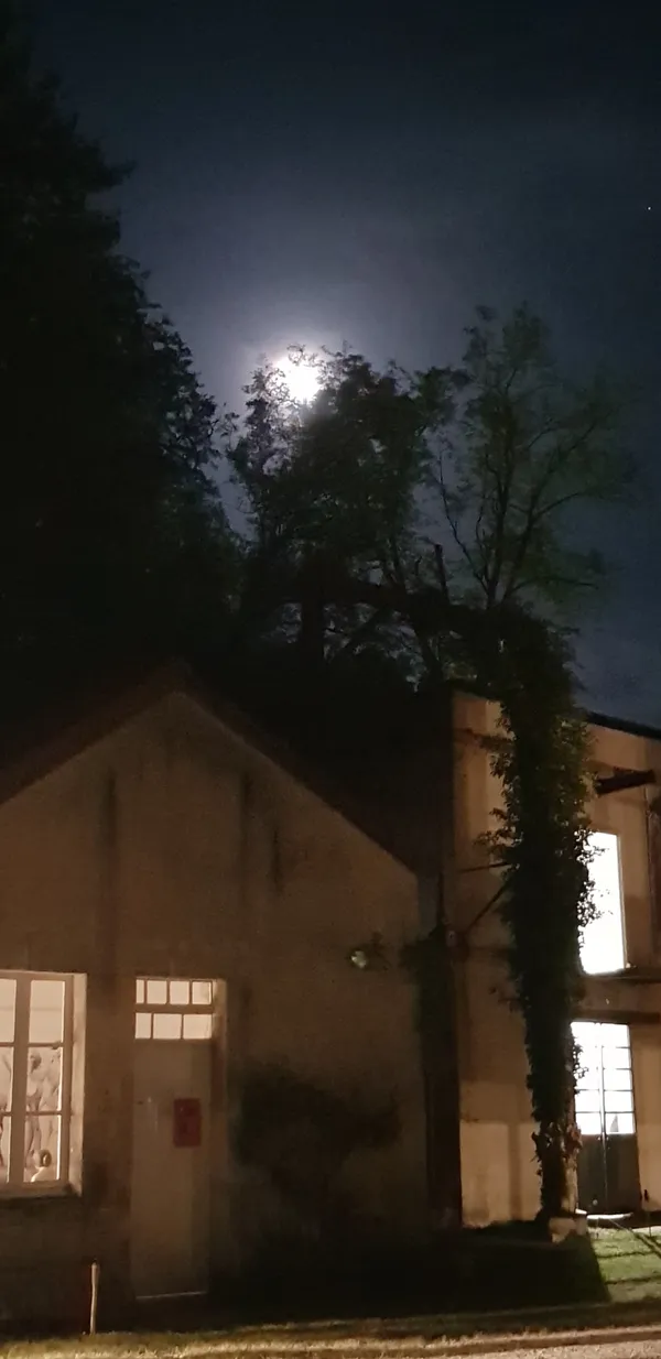 La Nuit des Musées