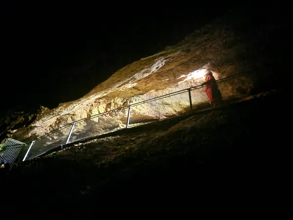 Visite Exploration de la Grotte de la rivière