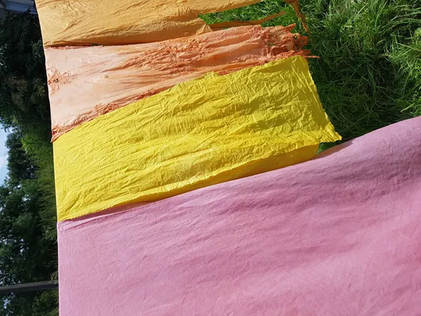 Atelier découverte de la teinture végétale