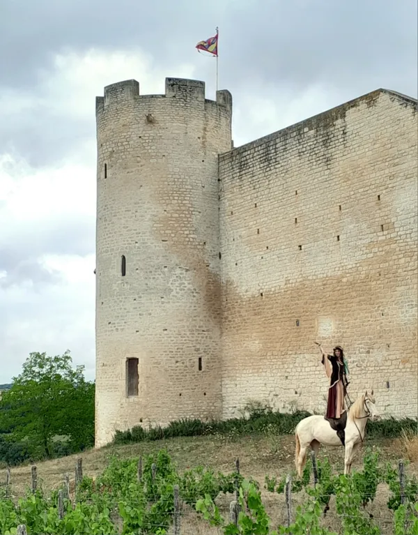 Fête médiévale au Château de Druyes
