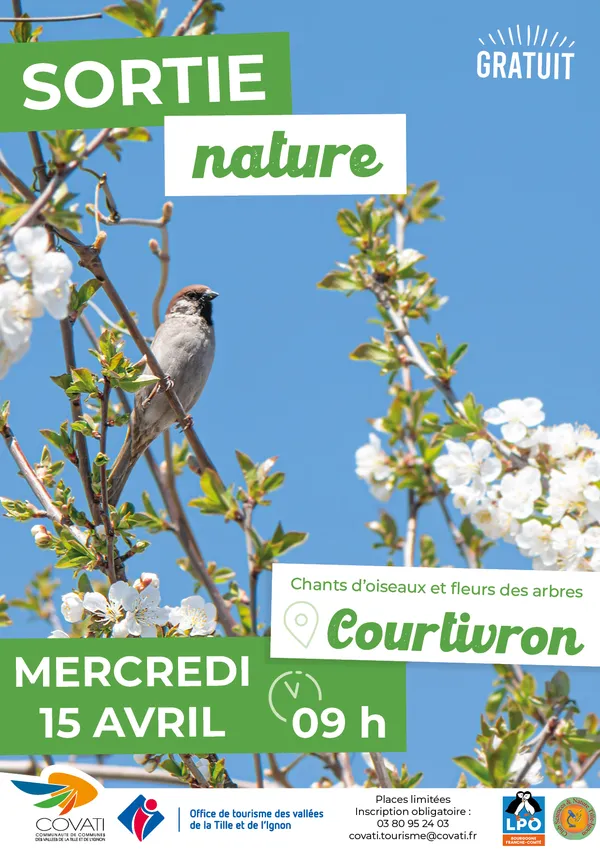 Sortie Nature : Chants d'oiseaux et fleurs des arbres
