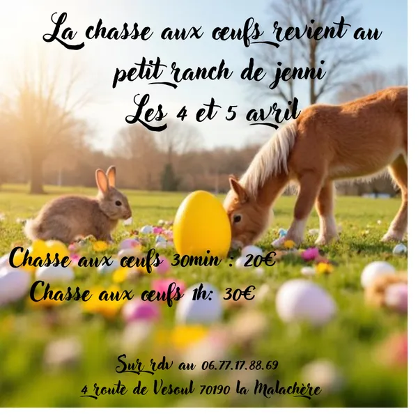 Chasse aux œufs