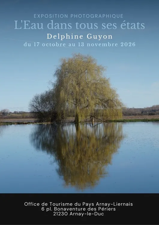 Exposition "L'eau dans tous ses états" par Delphine Guyon